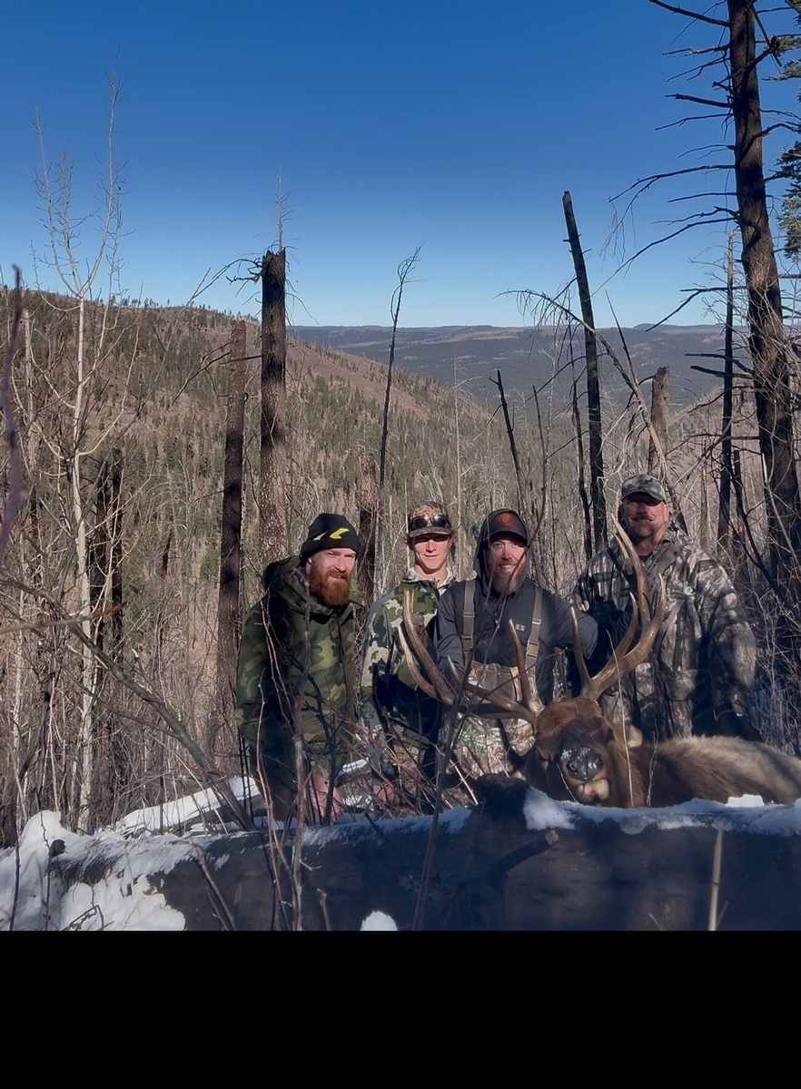Trophy Elk Arizona